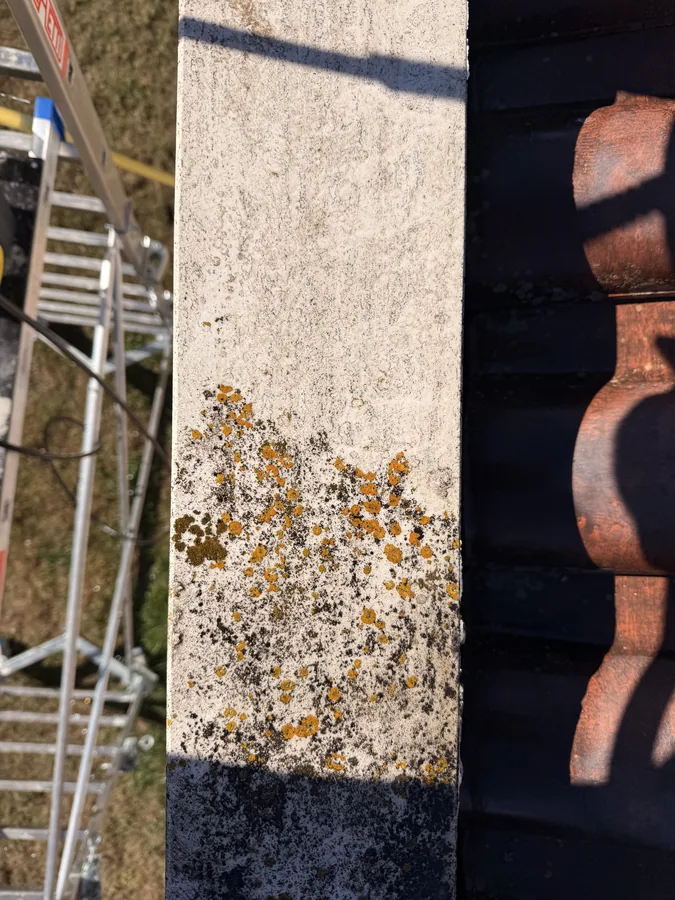 Dettaglio della soglia con depositi e licheni visibili